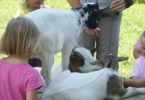 Aktivitäten in Landshut © Foto Kinderschutzbund Landshut